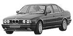 BMW E34 P171B Fault Code